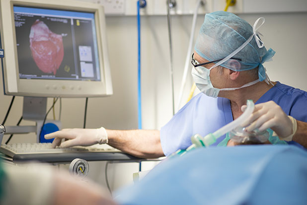 B.Sc Cardiovascular Technology